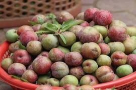 Hè đến, ăn ngay những loại trái cây giảm cân này