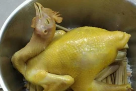 Cách luộc gà Tết ngon đẹp mẹ chồng khó tính mấy cũng phải gật 