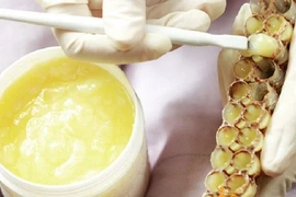 Những công dụng thần kỳ của sữa ong chúa ít người biết