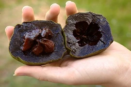 Lợi ích bất ngờ của quả hồng đen có vị kỳ lạ