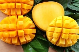 10 loại trái cây giải nhiệt mùa hè giúp bạn đánh bay cái nóng