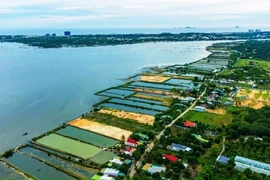 Khánh Hòa: Dừng chuyển mục đích sử dụng đất ở huyện Cam Lâm