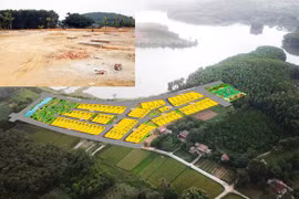 Thanh Hoá lên tiếng tình trạng nở rộ phân lô bán nền gắn mác dự án