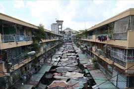 TP HCM lập tổ triển khai dự án xây lại chung cư, dời nhà ven kênh