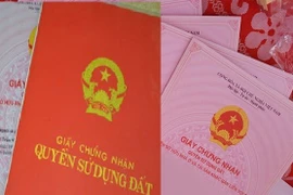 Chậm cấp sổ đỏ, Chủ tịch TP Quảng Ngãi xin lỗi người dân