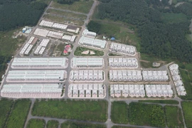 Vụ gần 500 biệt thự xây trái phép: Bắt giam 2 lãnh đạo cấp phòng