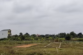  Đà Nẵng cảnh bảo về dịch vụ chuyển đất nông nghiệp sang đất ở