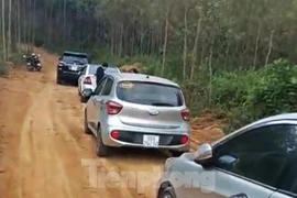 Chuyên gia BĐS lên tiếng về việc loạt địa phương tạm dừng phân lô, tách thửa