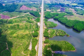 Ảnh: Báo Đầu tư.