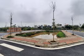 TP Hà Nội mạnh tay thanh tra, xử lý hoạt động đấu giá đất