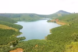 Novaland đề xuất nghiên cứu đầu tư dự án hồ Đăk Long Thượng 30.000 ha ở Lâm Đồng