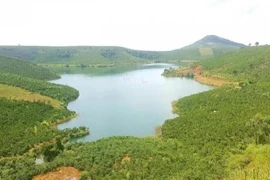 Novaland đề xuất nghiên cứu đầu tư dự án hồ Đăk Long Thượng 30.000 ha ở Lâm Đồng