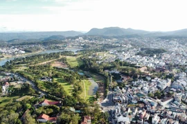 Lâm Đồng: Nhiều doanh nghiệp thuê đất nhà nước nợ gần trăm tỷ đồng