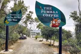 TP Quy Nhơn nói gì về khu du lịch không phép vẫn vô tư hoạt động?