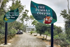 TP Quy Nhơn nói gì về khu du lịch không phép vẫn vô tư hoạt động?