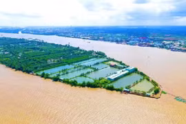 Vì sao dự án Khu du lịch Cồn Sơn hơn 1.570 tỷ của TMS Group bị thu hồi?