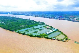 Vì sao dự án Khu du lịch Cồn Sơn hơn 1.570 tỷ của TMS Group bị thu hồi?