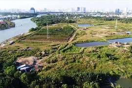 Khởi tố Phó tổng giám đốc Công ty Tân Thuận Trần Tấn Hải