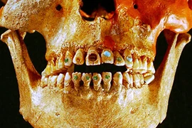 Top sự thật không tưởng về hàm răng