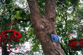 Hồ Gươm lộng lẫy... nhưng vắng như chùa Bà Đanh