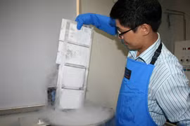 Tận mắt quy trình bảo quản tế bào gốc ở Việt Nam