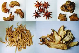 Chữa rối loạn tiêu hóa bằng dược liệu thiên nhiên