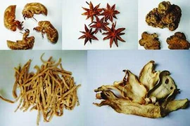 Chữa rối loạn tiêu hóa bằng dược liệu thiên nhiên