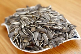 Hướng dương tại TP HCM... tạm an toàn