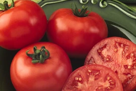 Trị ung thư tiền liệt tuyến bằng ... cà chua