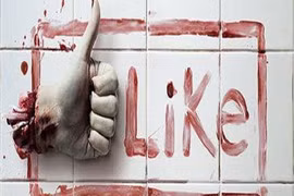 Ảnh khiến những người “cuồng like” phải suy ngẫm