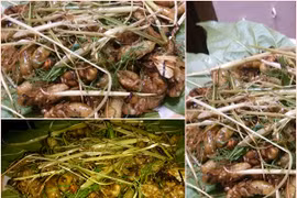 Dự đoán 4 Diva tương lai của làng nhạc Việt