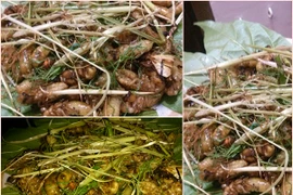 Dự đoán 4 Diva tương lai của làng nhạc Việt