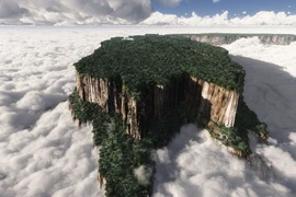 Vẻ mê hoặc của núi vờn mây ở Venezuela