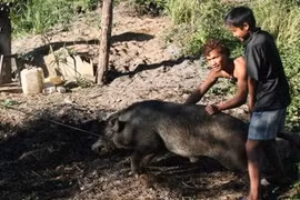 “Mình chẳng biết đâu, thấy cán bộ bảo mình có 10 tỷ“