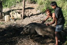 “Mình chẳng biết đâu, thấy cán bộ bảo mình có 10 tỷ“