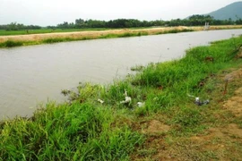 Một học sinh chết đuối thương tâm ở sông Đáy