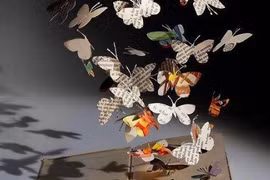 Hồi ức thân thương của vợ