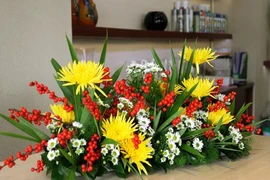 Tết rực rỡ với sắc cúc vàng