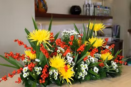 Tết rực rỡ với sắc cúc vàng