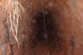 Thương gia Nga đào đường hầm lấy cắp dầu thô