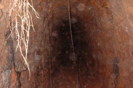 Thương gia Nga đào đường hầm lấy cắp dầu thô