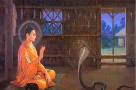 Thần chú linh nghiệm hàng phục rắn độc, “rắn thần“