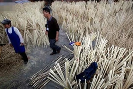 Giật mình chứng kiến quy trình sản xuất đũa dùng một lần