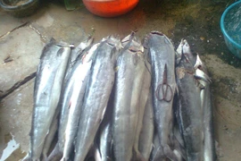 Thủy hải sản khan hàng, tăng giá sau bão số 2