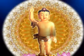 Ý nghĩa “Duy ngã độc tôn”