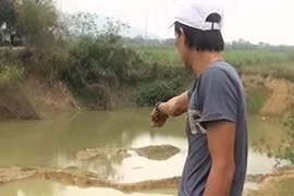 Trẻ 7 tuổi tử vong vì lao xuống giếng cứu bạn