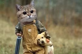 Phút hài hước của chó và mèo