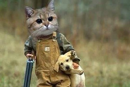 Phút hài hước của chó và mèo