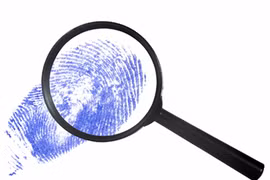 Bí ẩn đường đời qua dấu vân tay 