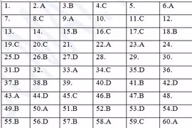 Gợi ý đáp án đề thi môn Vật lý khối A, A1 2013